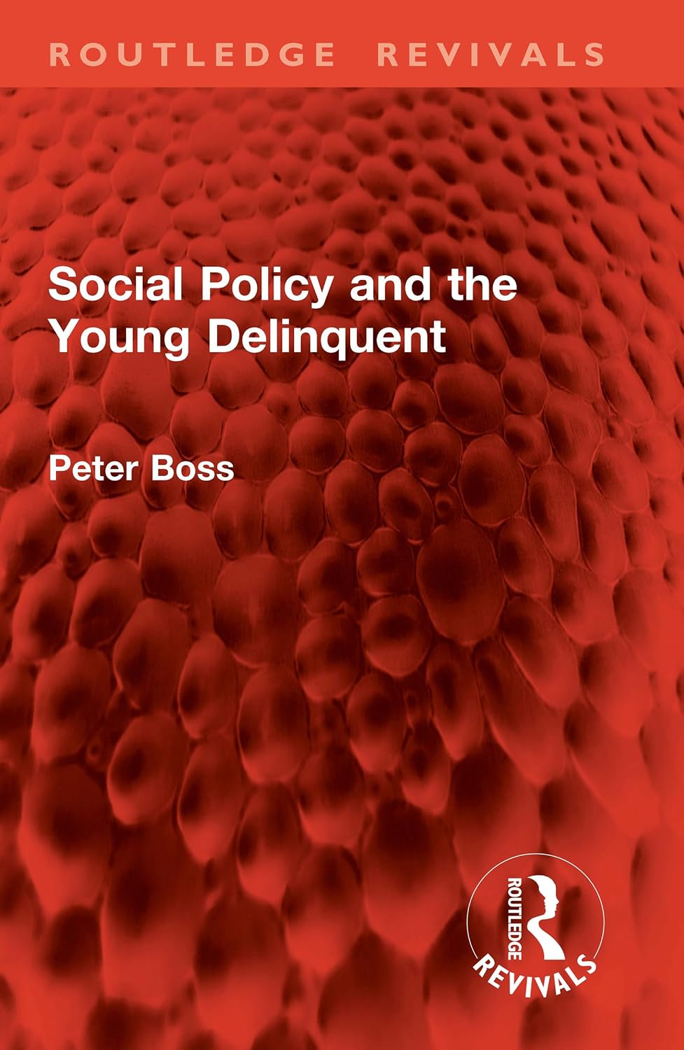 Social Policy and the Young Delinquent (Routledge Revivals) (English Edition) baixar livro de graça