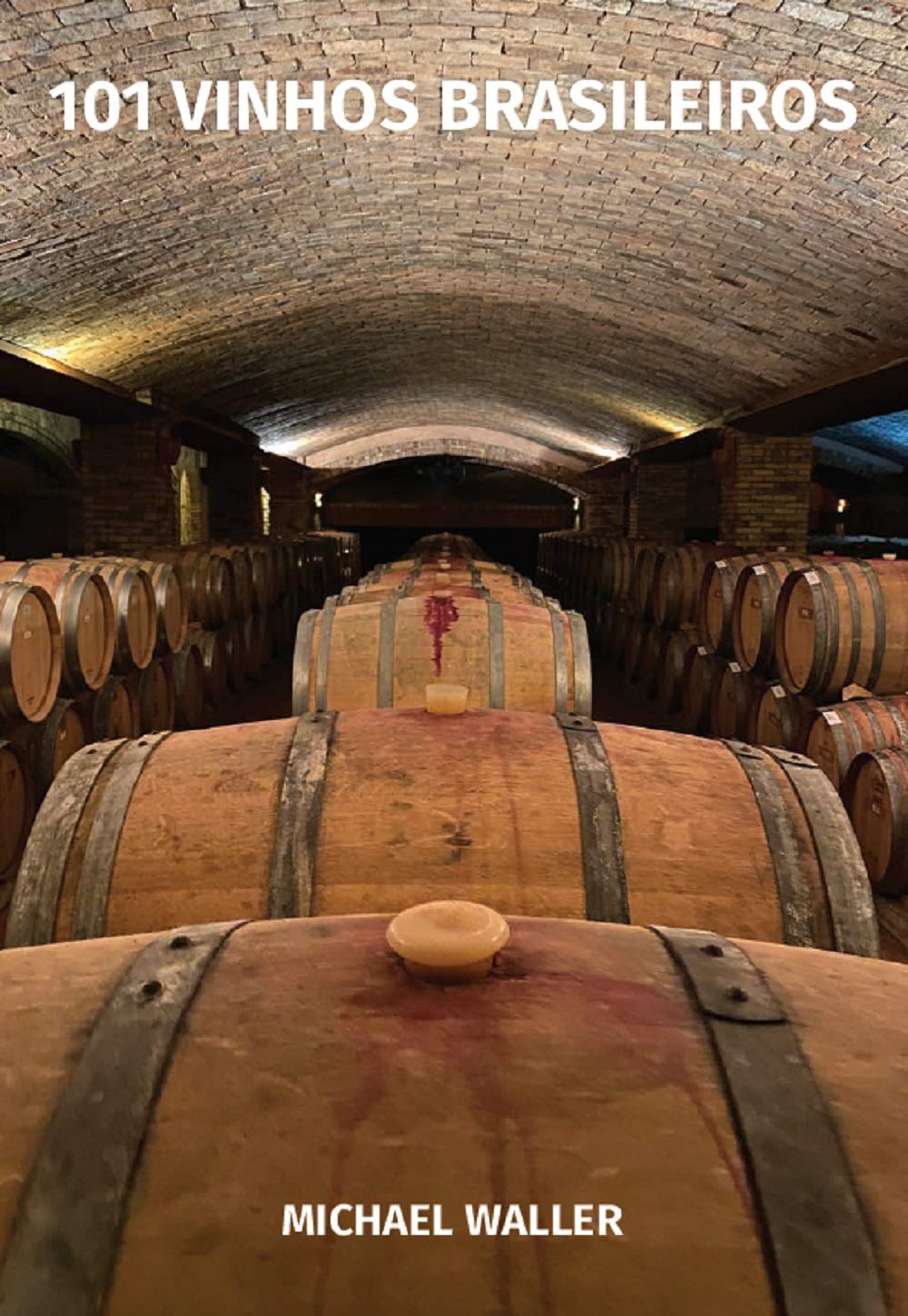 101 Vinhos Brasileiros (1º EDIÇÃO): Versão Digital (eBook) baixar o livro de graça