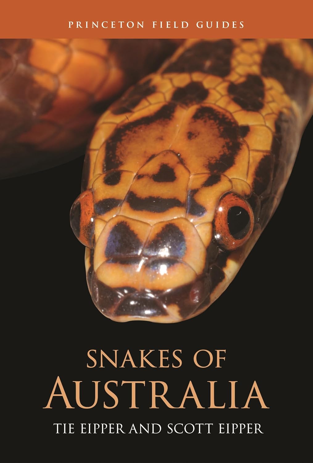 Snakes of Australia: 168 baixar o livro de graça