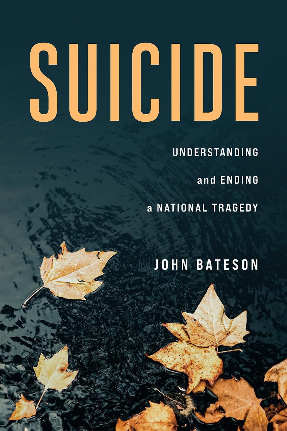 Suicide: Understanding and Ending a National Tragedy (English Edition) baixar livro de graça