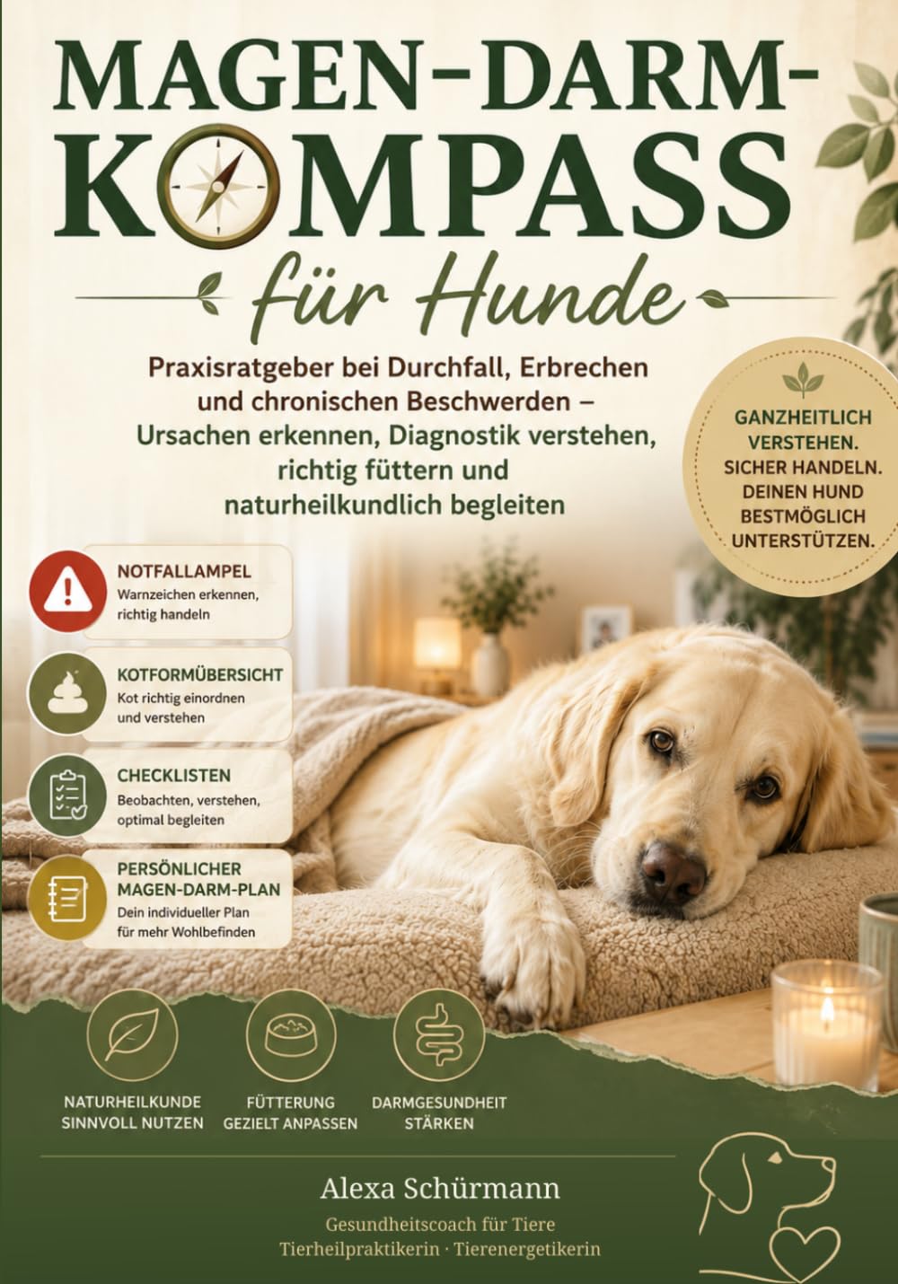 Magen-Darm-Kompass für Hunde: Praxisratgeber bei Durchfall, Erbrechen und chronischen Beschwerden – Ursachen erkennen, Diagnostik verstehen, richtig... naturheilkundlich begleiten (German Edition) baixar o livro de graça