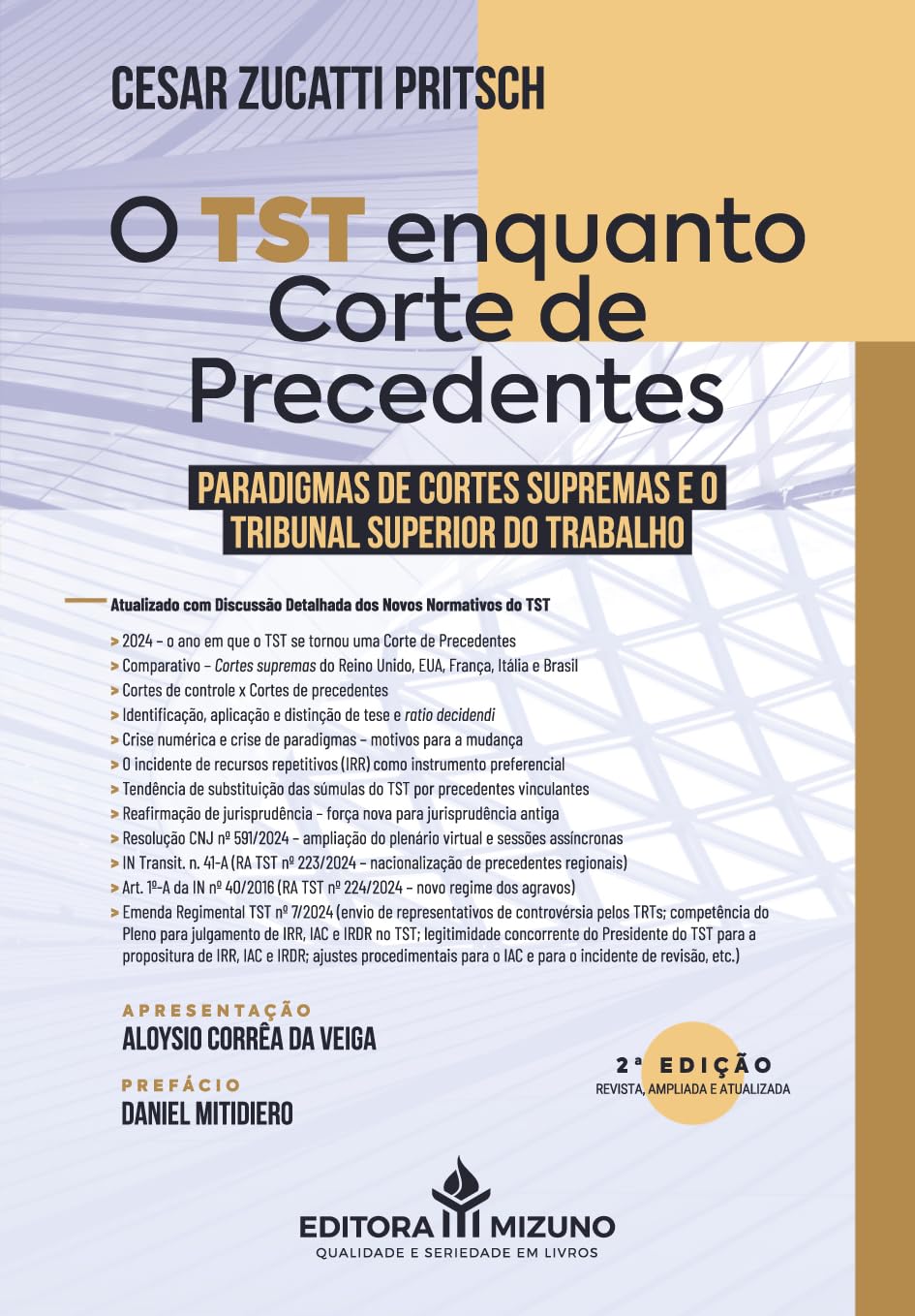 O TST enquanto corte de precedentes - 2ª edição (2025) baixar livro de graça