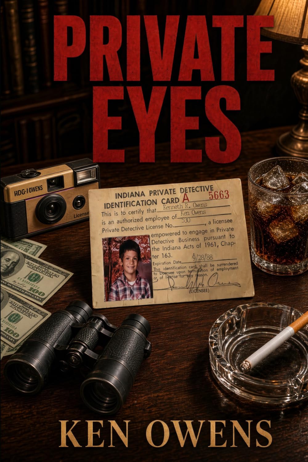 Private Eyes baixar o livro de graça