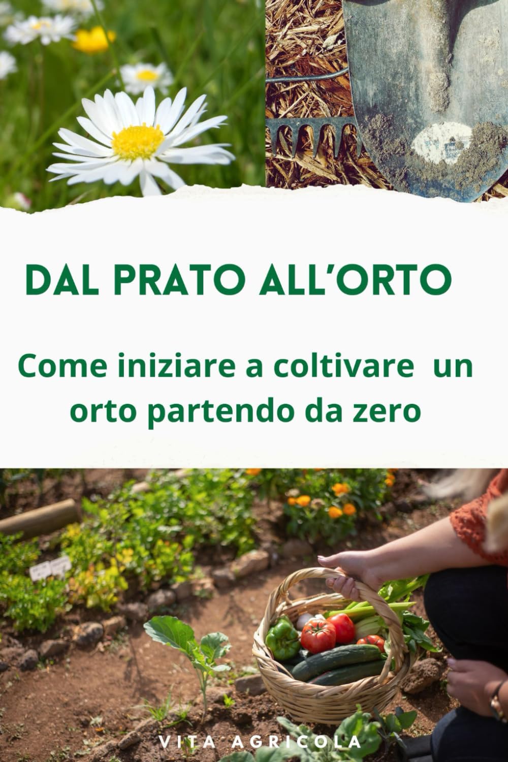 capítulo por capítulo baixar Dal prato all'orto.: Come coltivare un orto partendo da zero (Italian Edition)