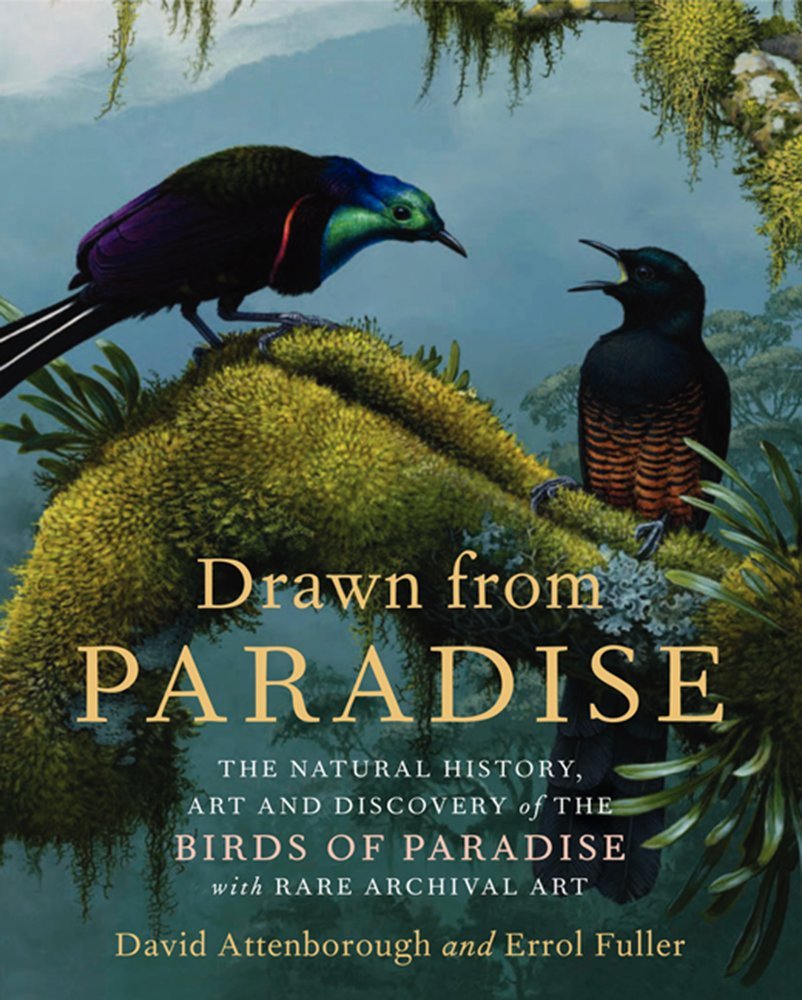 capítulo por capítulo baixar Drawn from Paradise: The Natural History, Art and Discovery of the Birds of Paradise with Rare Archival Art