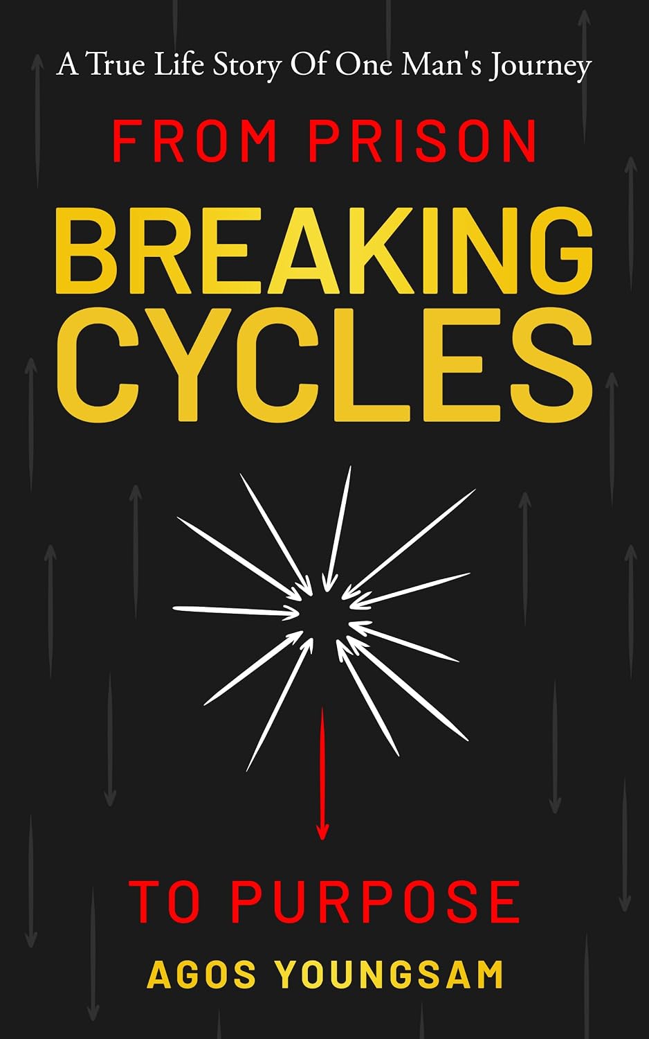 Breaking Cycles: From Prison to Purpose (English Edition) baixar livro de graça