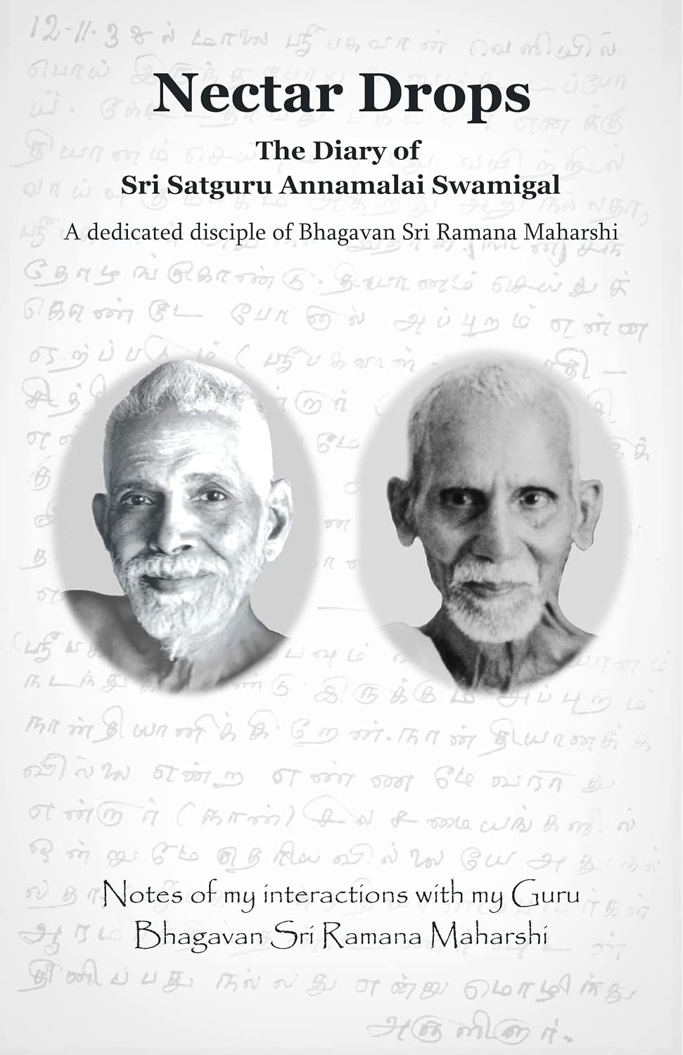capítulo por capítulo baixar Nectar Drops: The Diary of Sri Satguru Annamalai Swamigal (English Edition)