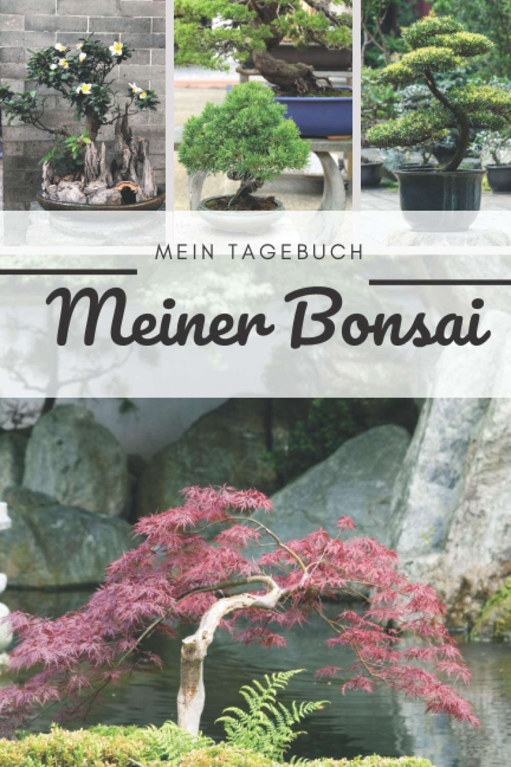 Das Tagebuch meines Bonsais: Diese Zeitschrift ermöglicht es Ihnen, das Wachstum Ihres Bonsai im Laufe der Zeit zu verfolgen. Dies ist ein ideales Logbuch, das Folgendes bietet baixar o livro de graça