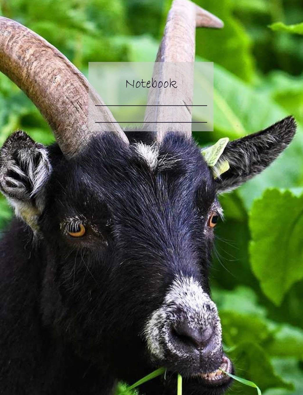 capítulo por capítulo baixar Notebook: Composition Notebook. College Ruled with Soft Matte Cover. 120 Pages. Perfect for School Notes, Ideal as a Journal or a Diary. 9.69 X 7.44. Great Gift Idea. (Black Goat Cover).