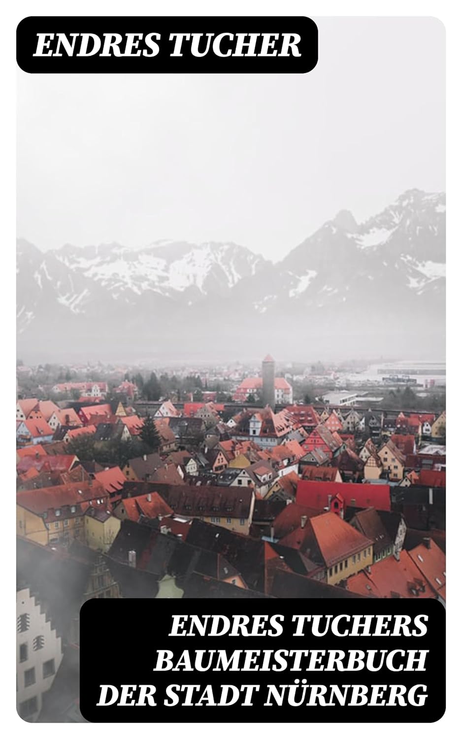 Endres Tuchers Baumeisterbuch der Stadt Nürnberg: Bereicherte Ausgabe. Baukunst und Stadtentwicklung Nürnbergs im 16. Jahrhundert – Pläne, Quellen, Illustrationen (German Edition) baixar o livro de graça