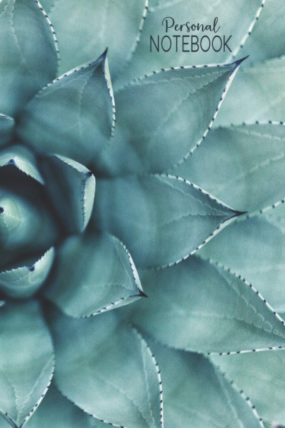Personal Notebook: 6x9 -150 Page Journal | Succulent Diary | Pretty Notebook | Daily Notes | Cactus Organizer baixar o livro de graça