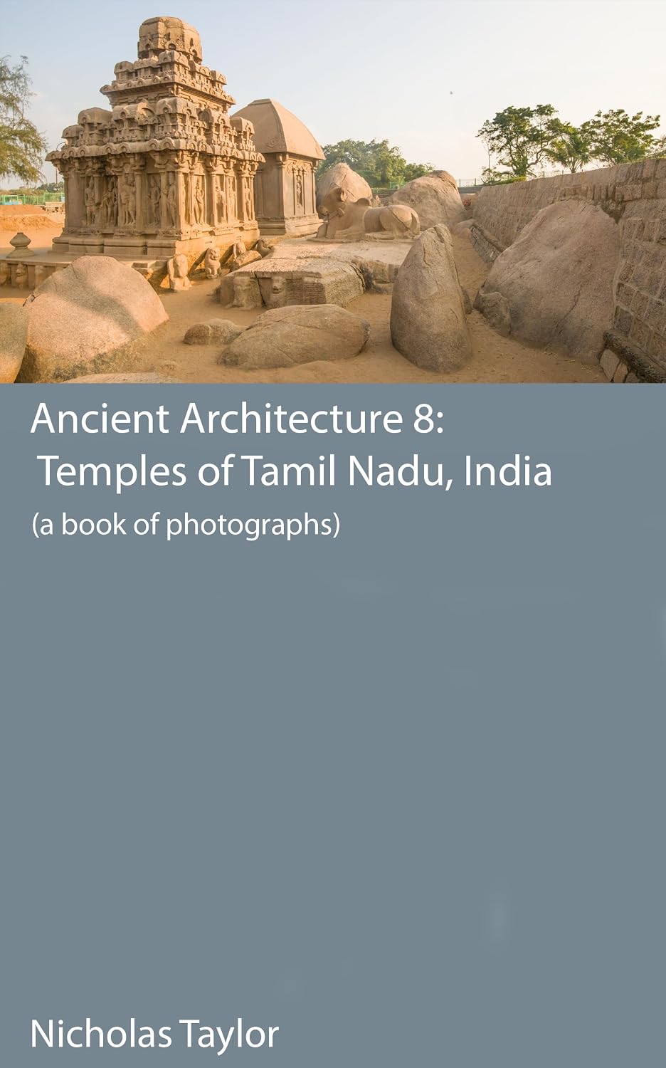 ler totalmente Temples of Tamil Nadu: A Book of Photographs (Ancient Architecture 8) (English Edition)