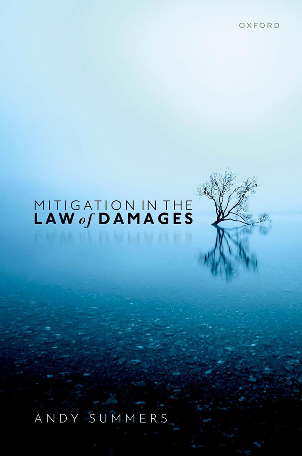 Mitigation in the Law of Damages (English Edition) baixar o livro de graça