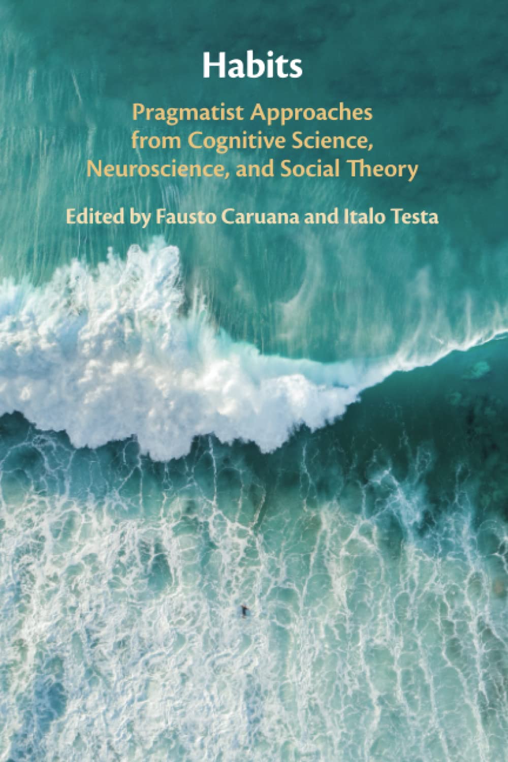 Habits: Pragmatist Approaches from Cognitive Science, Neuroscience, and Social Theory baixar o livro de graça