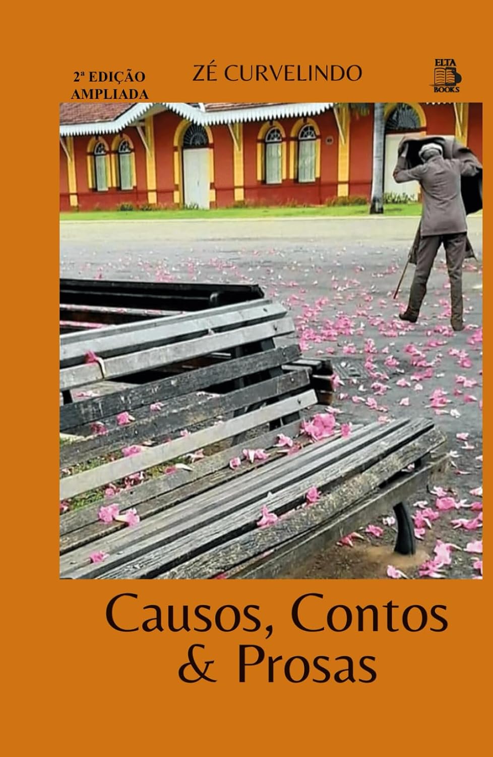 CAUSOS, CONTOS & PROSAS: ZÉ CURVELINDO baixar livro de graça