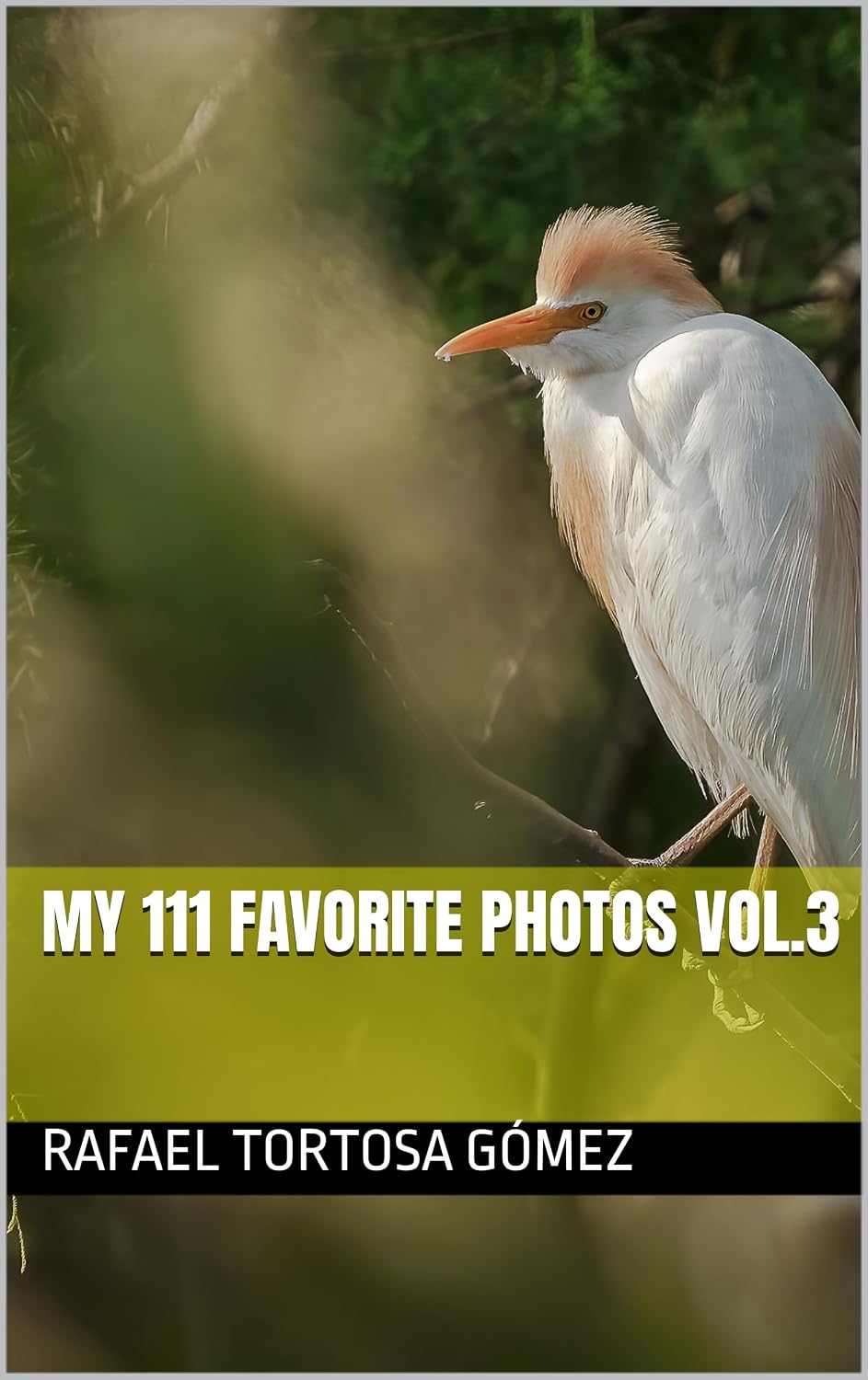 ler totalmente My 111 favorite Photos vol.3 (English Edition)