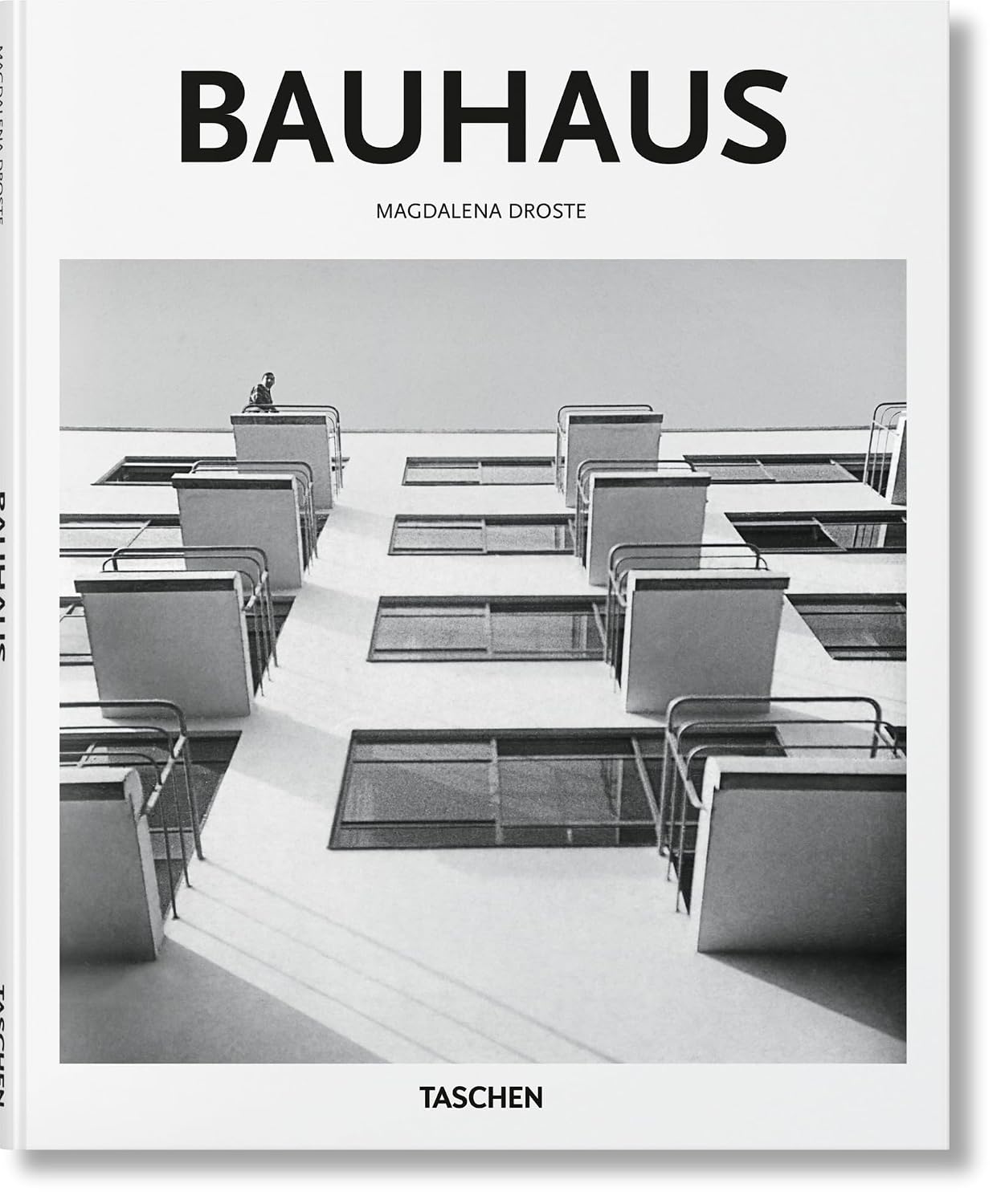Bauhaus: 1919-1933: Reform and Avant-garde baixar o livro de graça