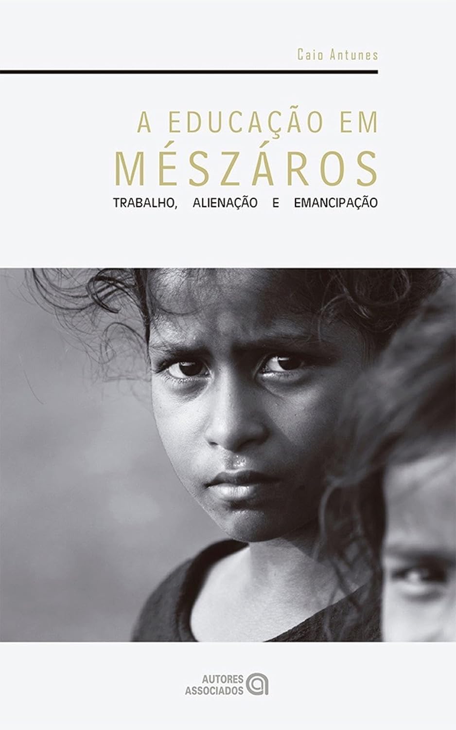 capítulo por capítulo baixar A educação em Mészáros: trabalho, alienação e emancipação