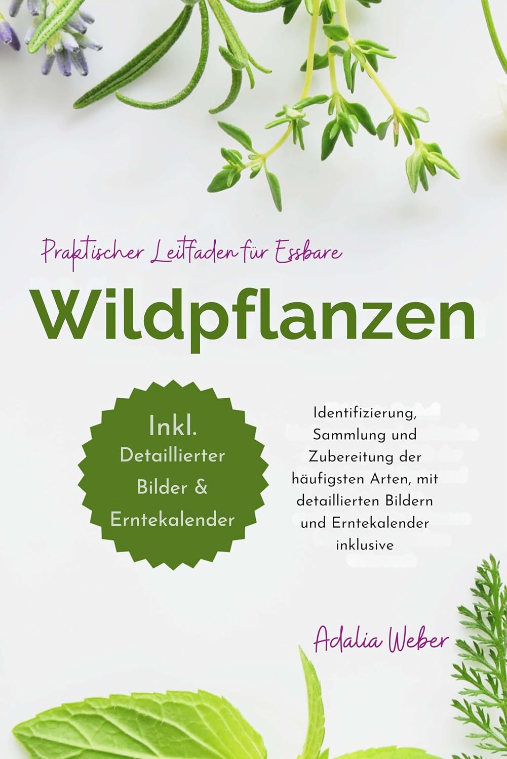 Praktischer Leitfaden für essbare Wildpflanzen: Identifizierung, Sammlung und Zubereitung der häufigsten Arten, mit detaillierten Bildern und Erntekalender inklusive (German Edition) baixar livro de graça