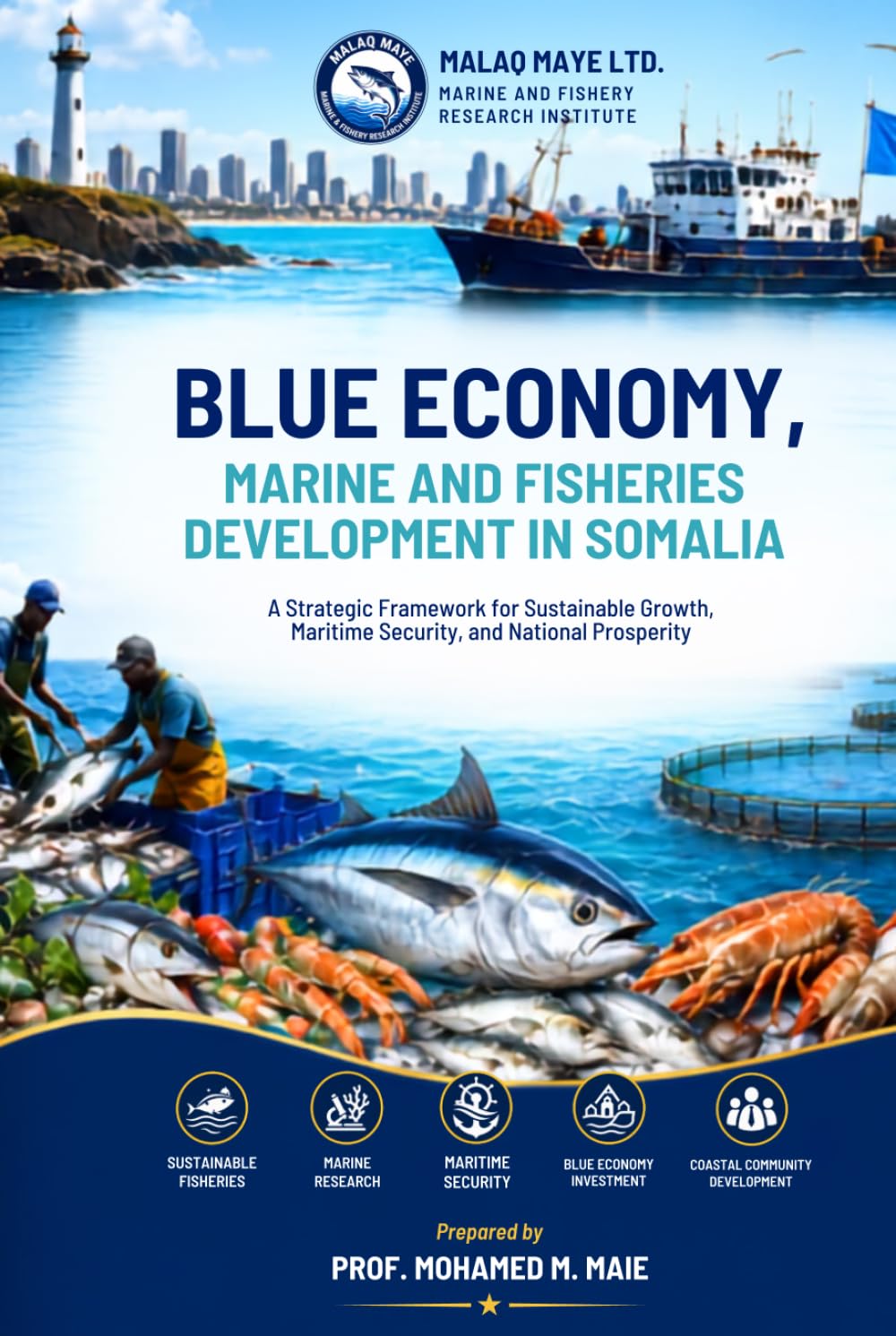 BLUE ECONOMY, MARINE AND FISHERIES DEVELOPMENT IN SOMALIA: A Strategic Framework for Sustainable Growth, Maritime Security, and National Prosperity for private & Cooperatives baixar o livro de graça