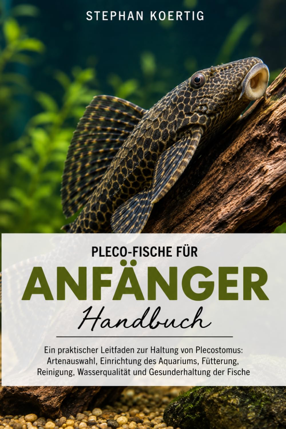 Pleco-Fische für Anfänger: Ein praktischer Leitfaden zur Haltung von Plecostomus: Artenauswahl, Einrichtung des Aquariums, Fütterung, Reinigung,... Gesunderhaltung der Fische (German Edition) baixar livro de graça