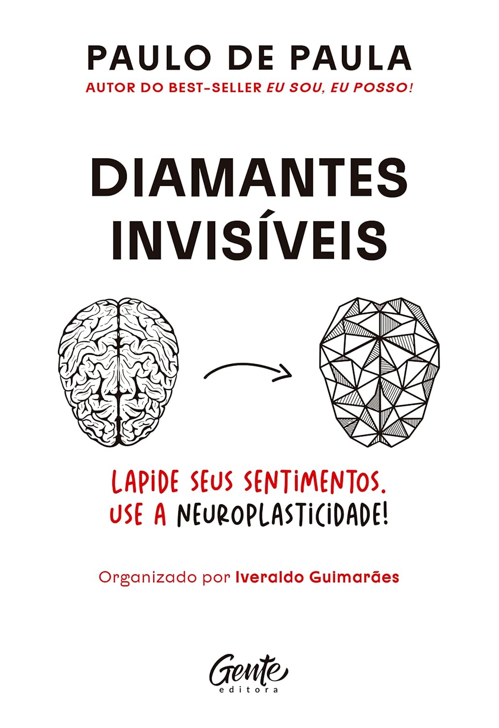 Diamantes invisíveis: Ressignifique os seus sentimentos beneficiando-se da neuroplasticidade do cérebro baixar livro de graça