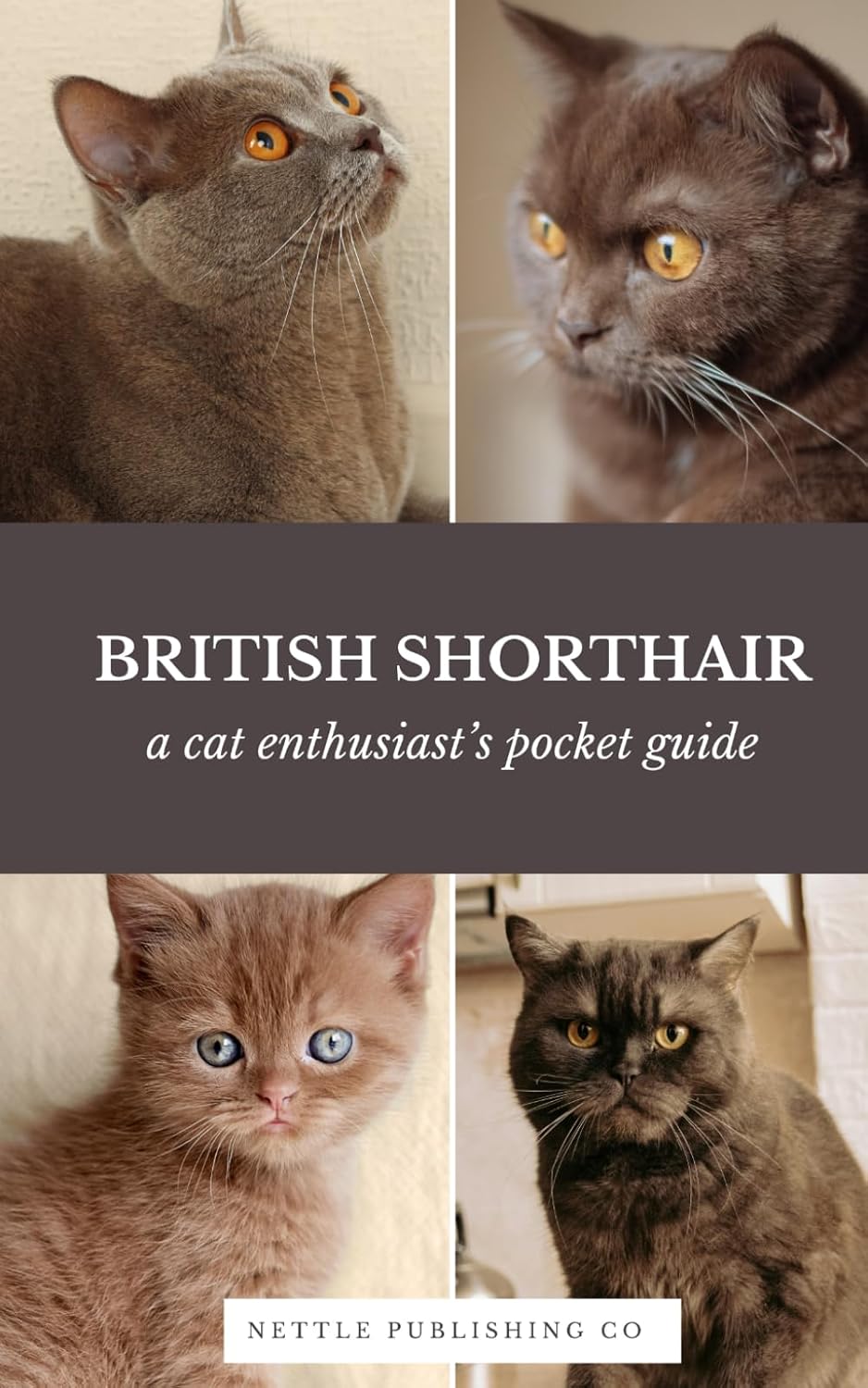 British Shorthair Cats | A Complete Pocket Guide Book: Breed-Specific Care Handbook With Pet Passport with Records Logbook baixar o livro de graça