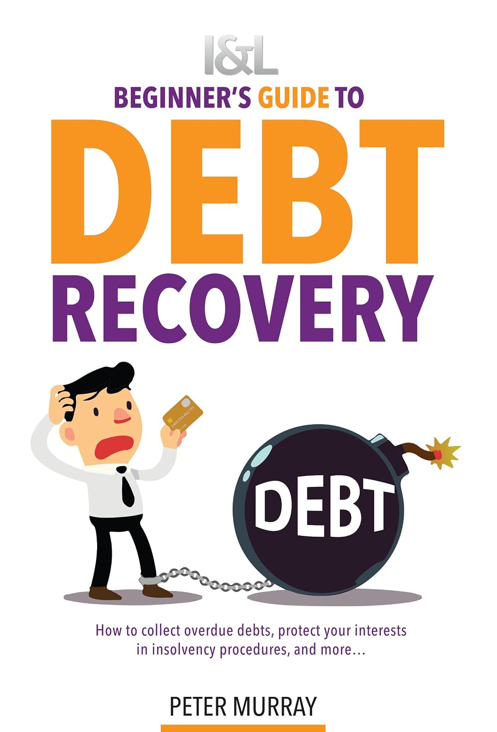 Beginner's Guide to Debt Recovery (English Edition) baixar livro de graça