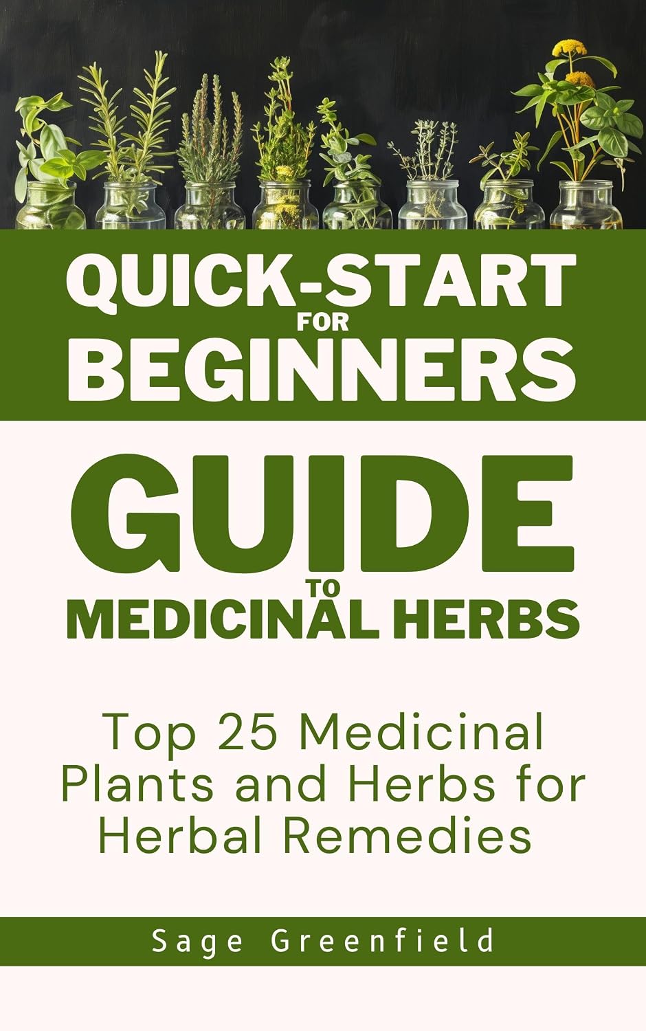 Quick-Start for Beginners Guide to Medicinal Herbs: Top 25 Medicinal Plants and Herbs for Herbal Remedies (English Edition) baixar livro de graça