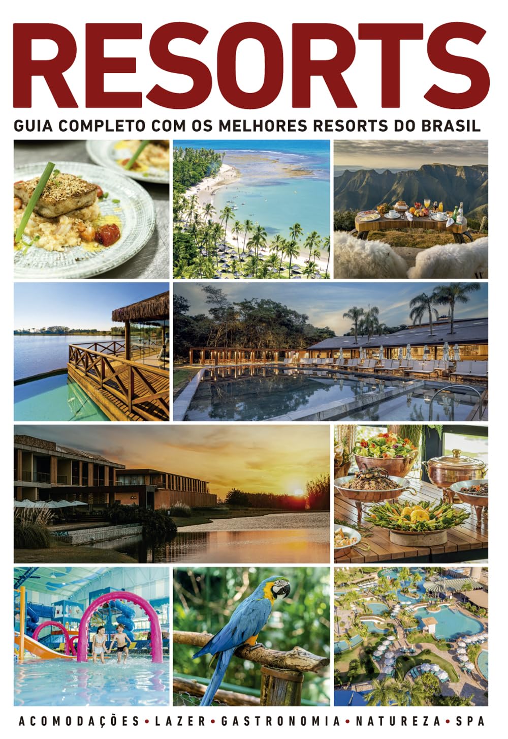 Guia de Resorts 2025