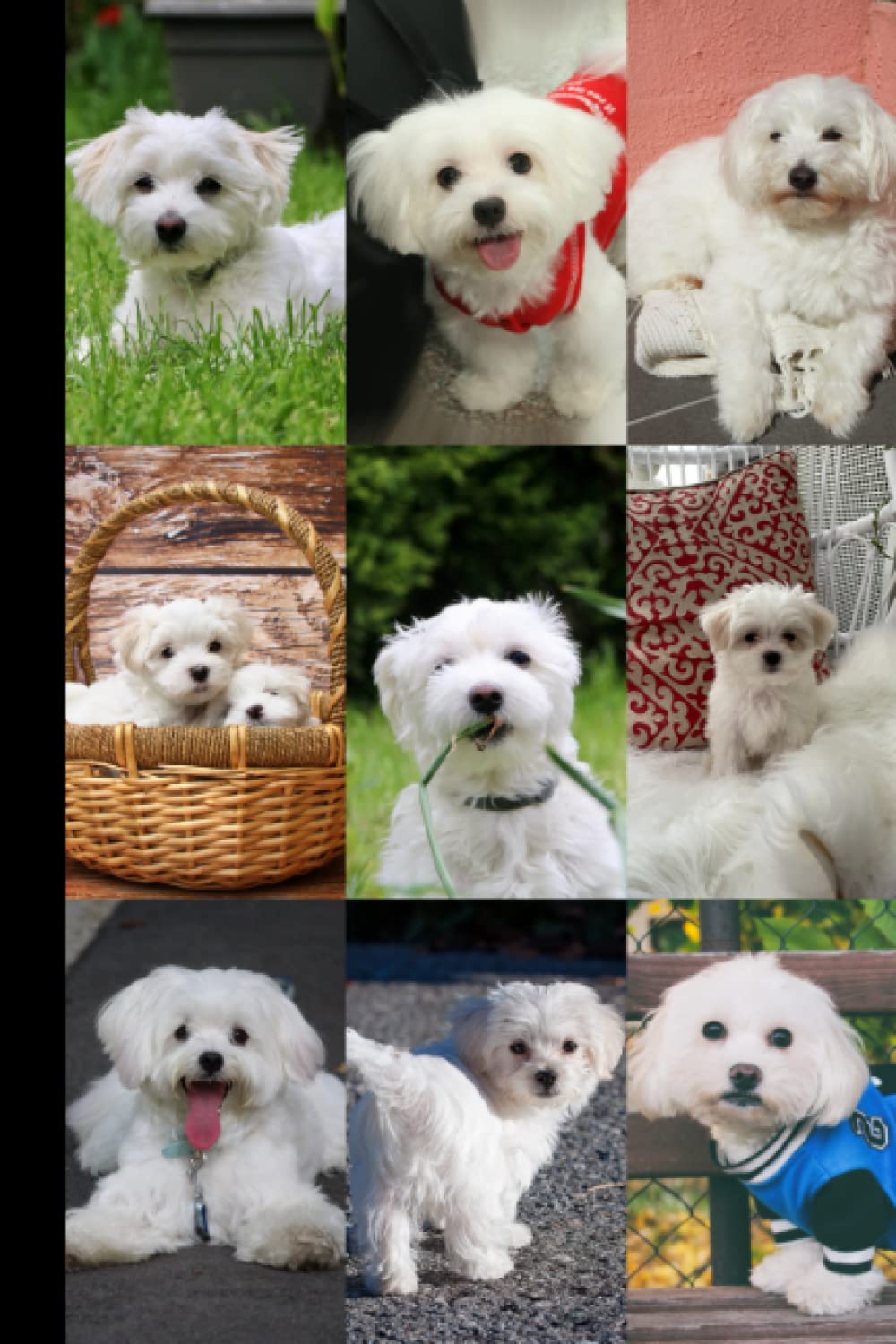 Notebook: Maltese Dog Collage, 120 Pages, Blank Lined Journal For Maltese Lovers baixar livro de graça