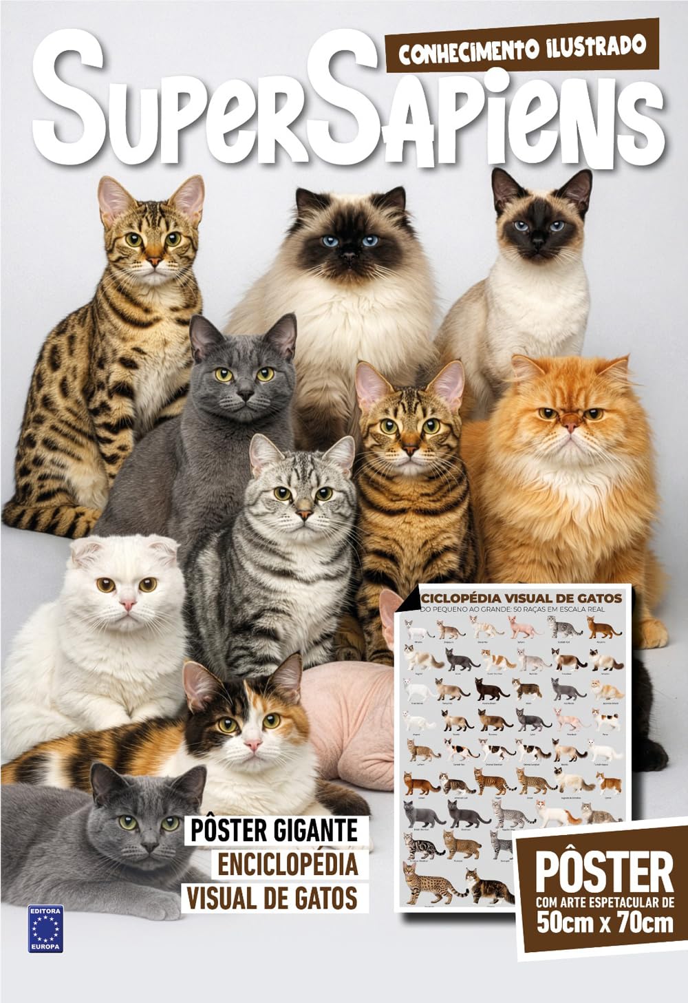 capítulo por capítulo baixar Enciclopédia Visual de Gatos - SuperSapiens Posterzine