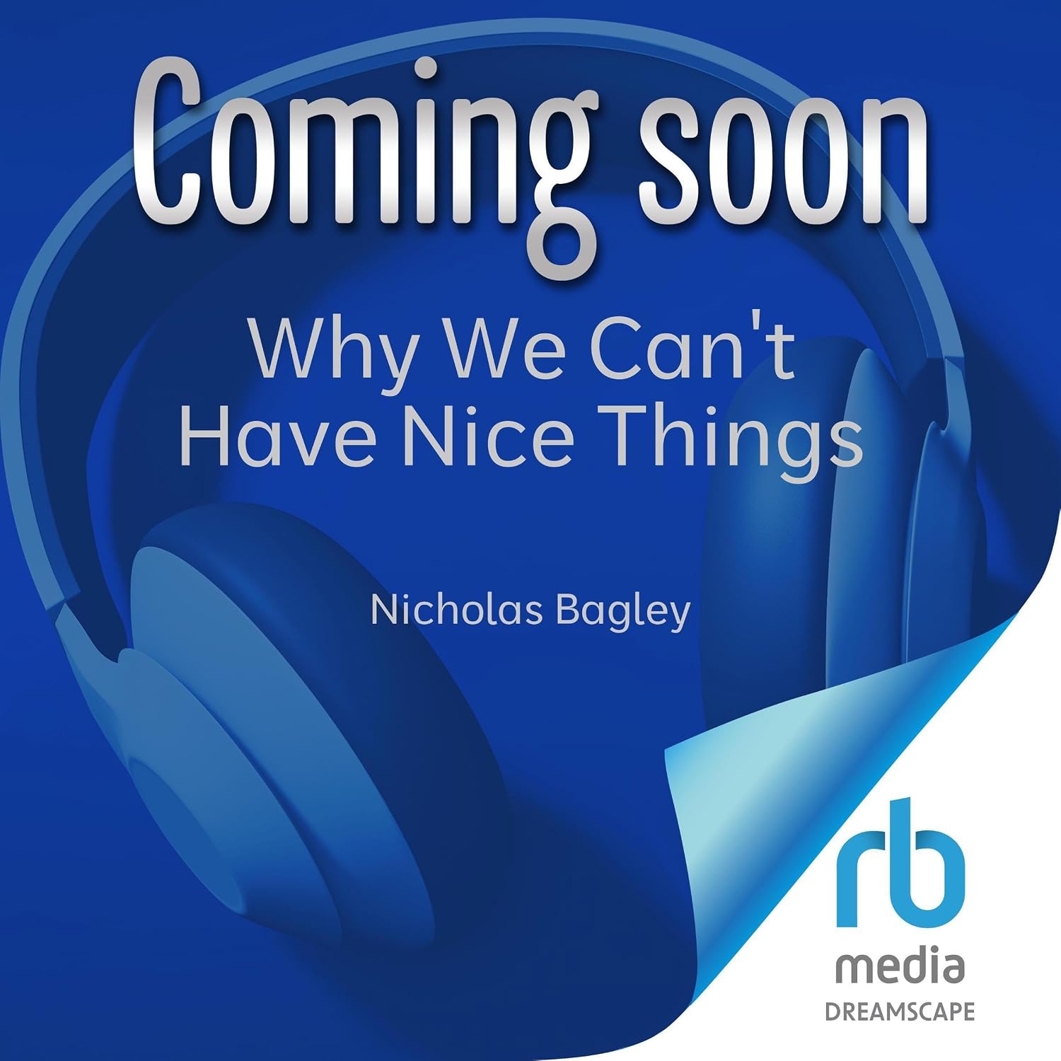 Why We Can't Have Nice Things: How Legal Reformers Accidentally Broke America baixar livro de graça
