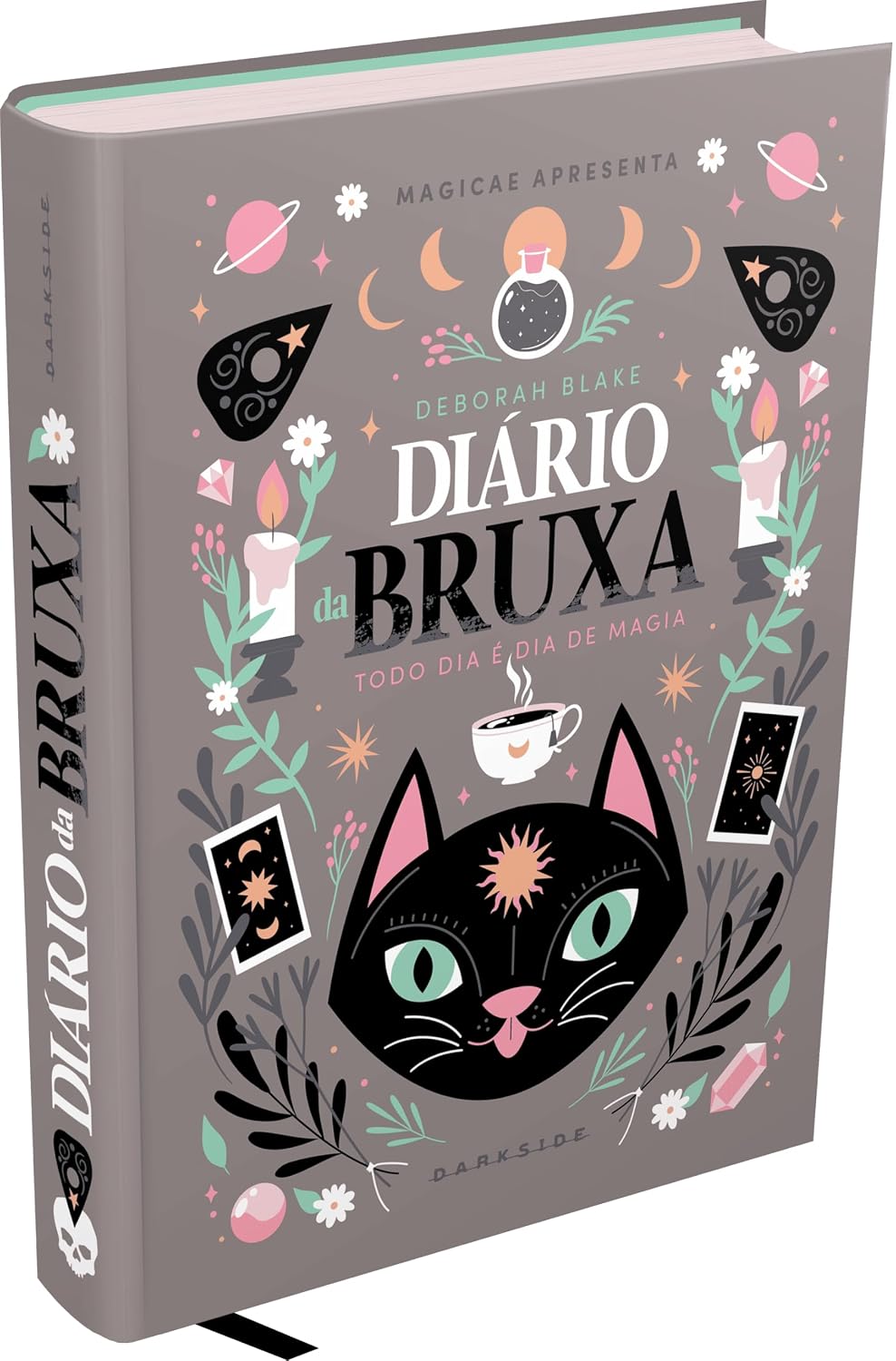 capítulo por capítulo baixar DIÁRIO DA BRUXA - 366 DIAS DE CONEXÃO COM A NATUREZA E A ESPIRITUALIDADE