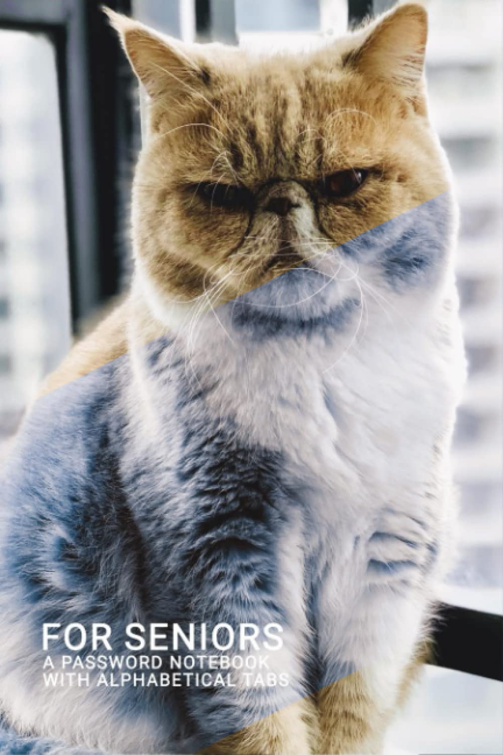 capítulo por capítulo baixar Password Notebook with Alphabetical Tabs for Seniors: Internet Password Keeper for Website Usernames Logins and Notes | Small Size with Angry Cat Cover 6" x 9".