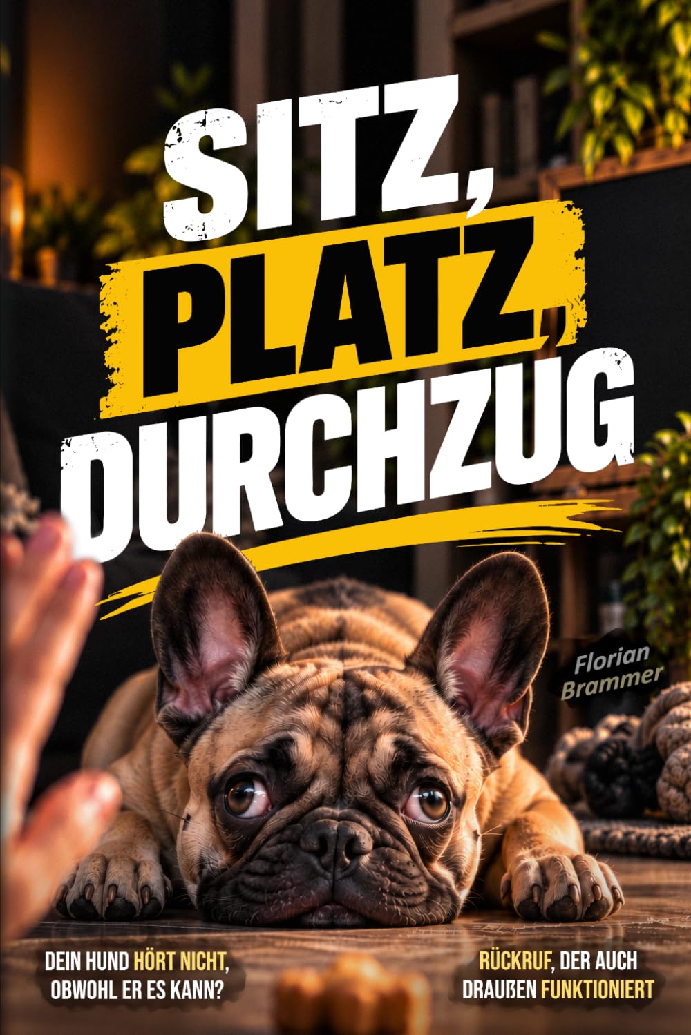 capítulo por capítulo baixar Sitz, Platz, Durchzug: Dein Hund hört nicht, obwohl er es kann? Wie du Rückruf und Alltagssignale Schritt für Schritt zuverlässiger machst (Hundesache) (German Edition)