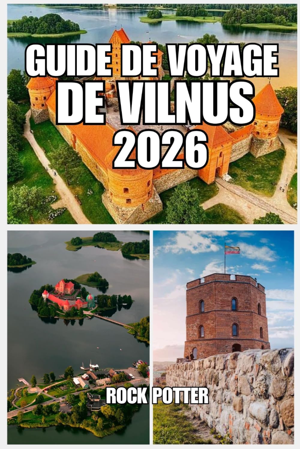 GUIDE DE VOYAGE DE VILNUS: Guide de voyage de Vilnius 2026: Votre guide complet de la capitale lituanienne avec attractions, restaurants, hôtels,... budget et aperçus culturels (French Edition) baixar o livro de graça