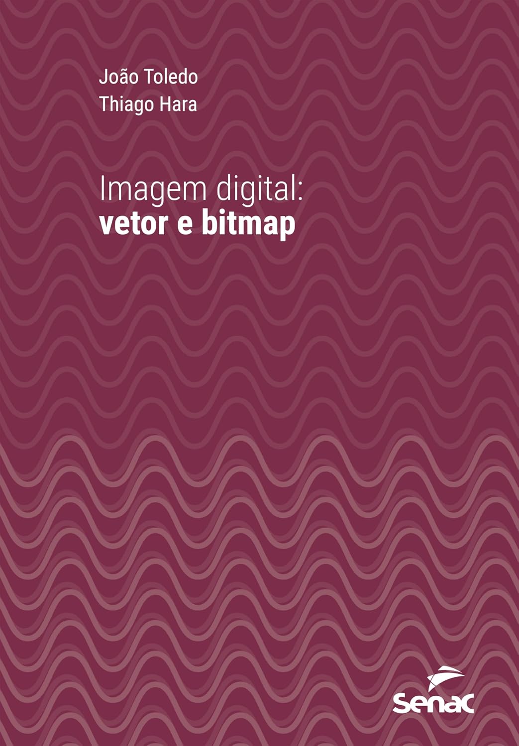 Imagem digital: Vetor e bitmap (Série Universitária)