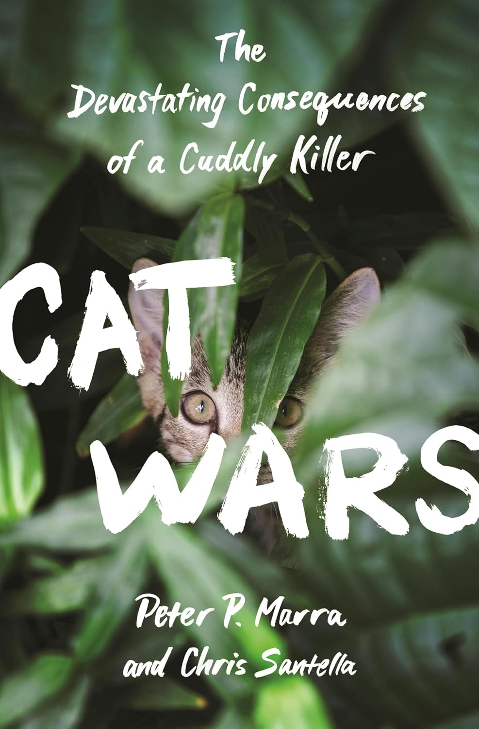 Cat Wars: The Devastating Consequences of a Cuddly Killer baixar o livro de graça