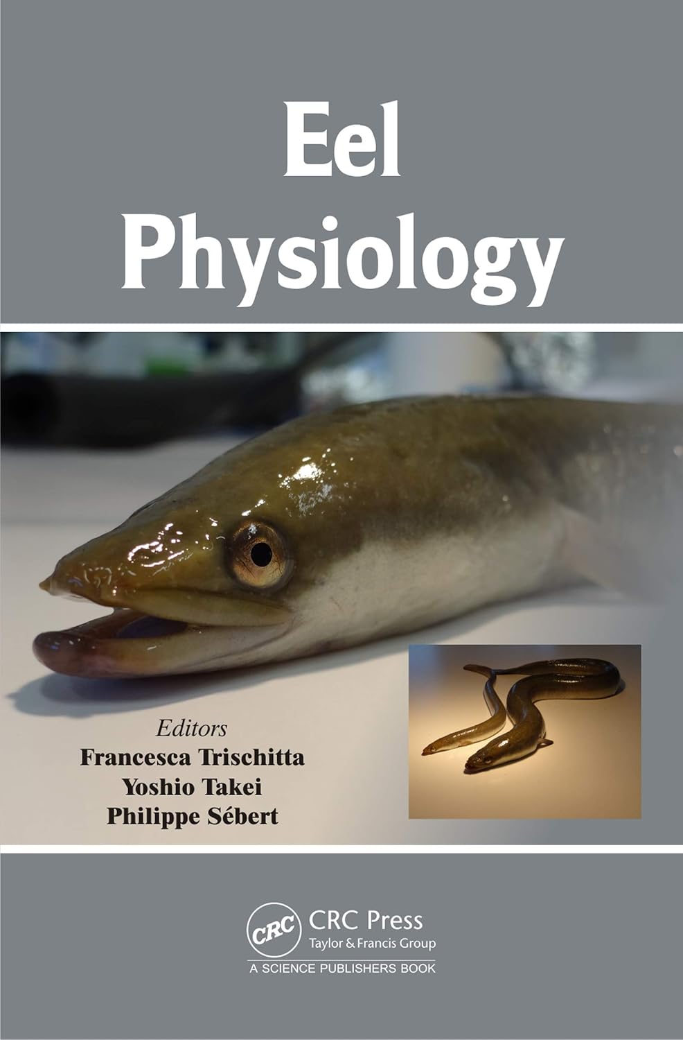Eel Physiology (English Edition) baixar o livro de graça