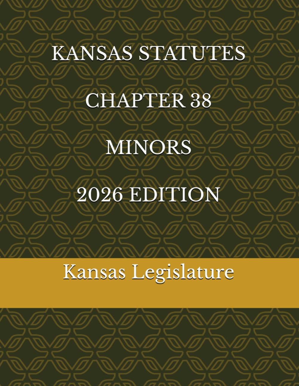 KANSAS STATUTES CHAPTER 38 MINORS 2026 EDITION baixar o livro de graça