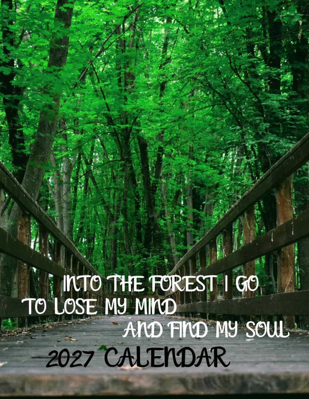 INTO THE FOREST I GO TO LOSE MY MIND AND FIND MY SOUL 2027 Calenda r: Beautiful Nature 2027 Calenda r: Stunning Landscapes from Around the World | September 2026 – December 2027 baixar o livro de graça