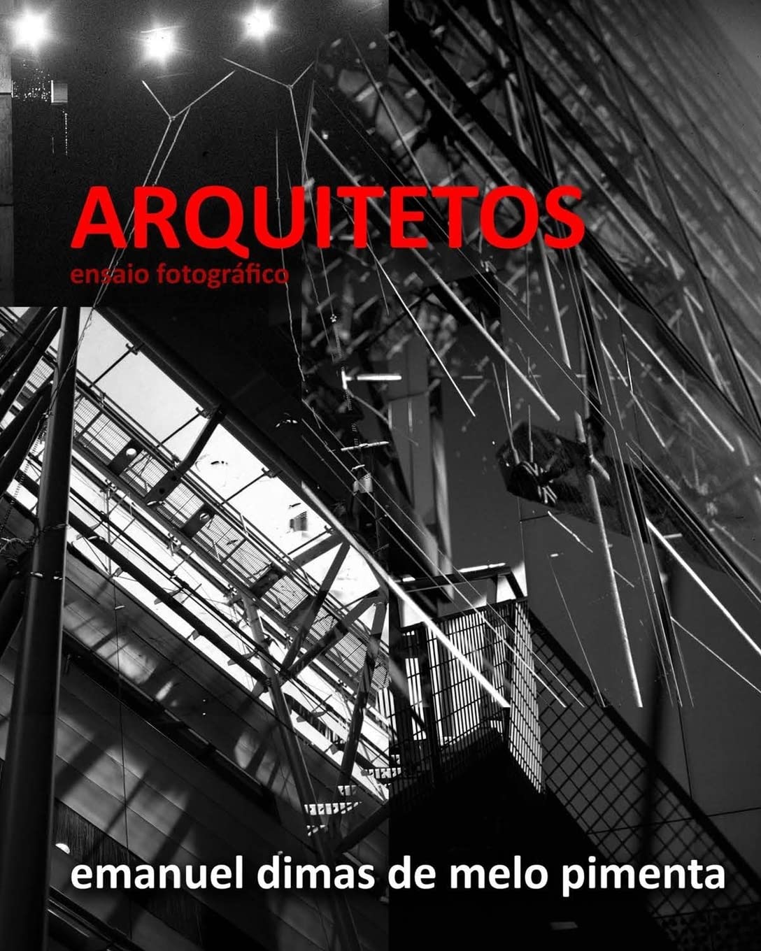 Arquitetos: Ensaio Fotográfico baixar o livro de graça