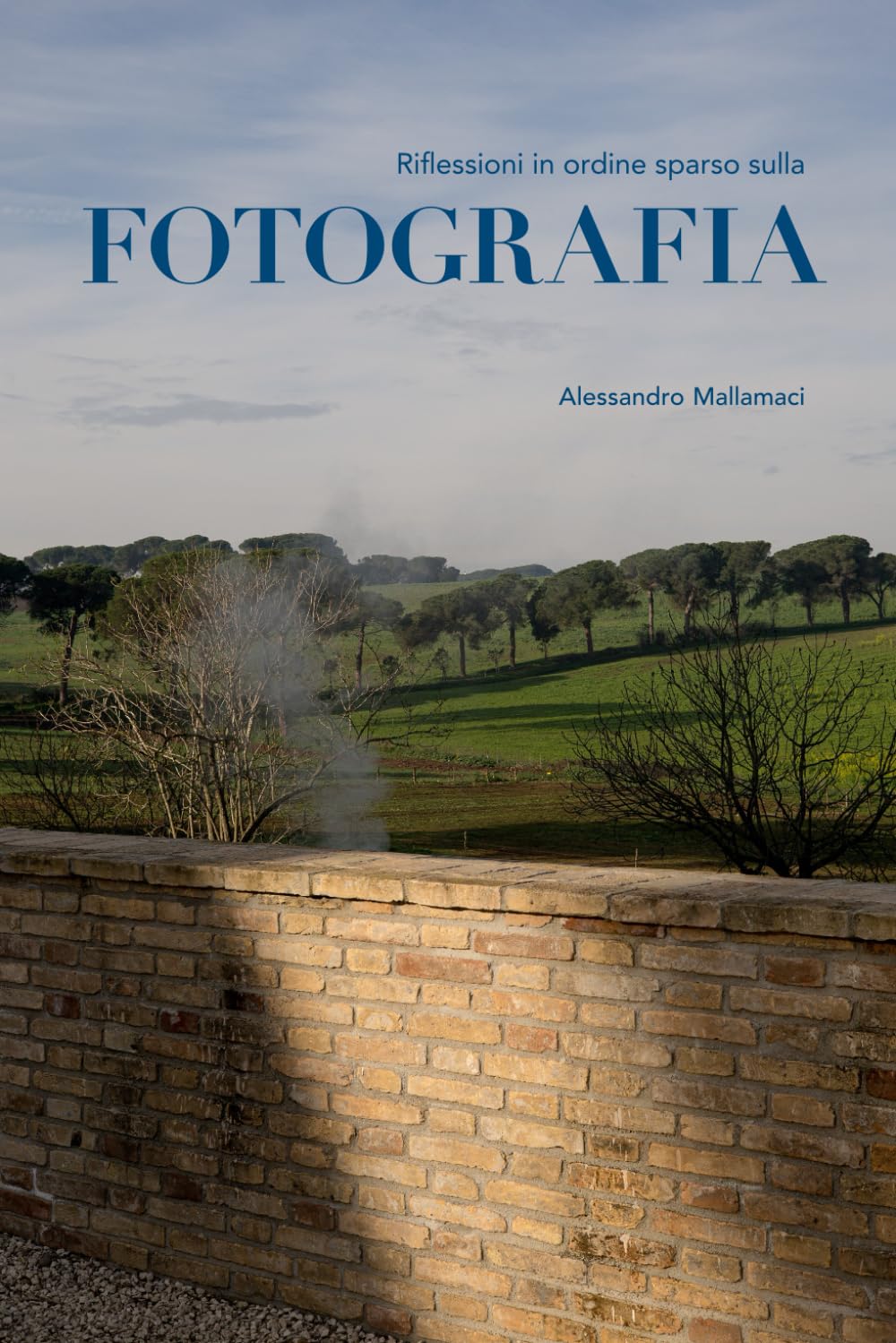 Riflessioni in ordine sparso sulla fotografia: Sullo stile, il linguaggio e la ricerca autoriale in fotografia (Alessandro Mallamaci Accademia) (Italian Edition) baixar o livro de graça