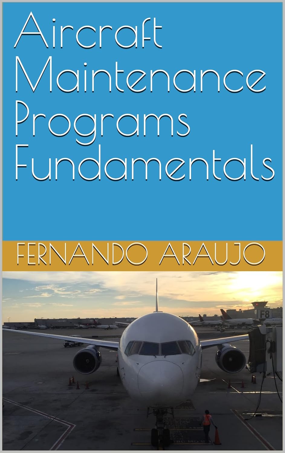 capítulo por capítulo baixar Aircraft Maintenance Programs Fundamentals (English Edition)
