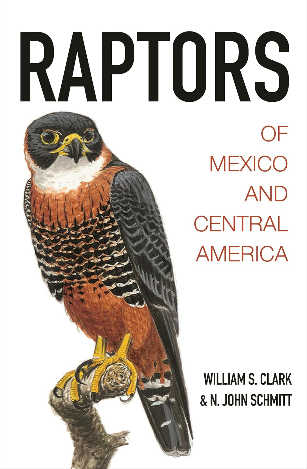 Raptors of Mexico and Central America baixar livro de graça