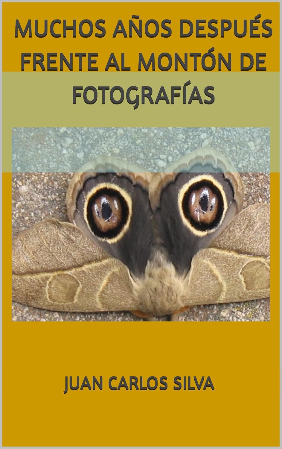 capítulo por capítulo baixar MUCHOS AÑOS DESPUÉS FRENTE AL MONTÓN DE FOTOGRAFÍAS (Spanish Edition)