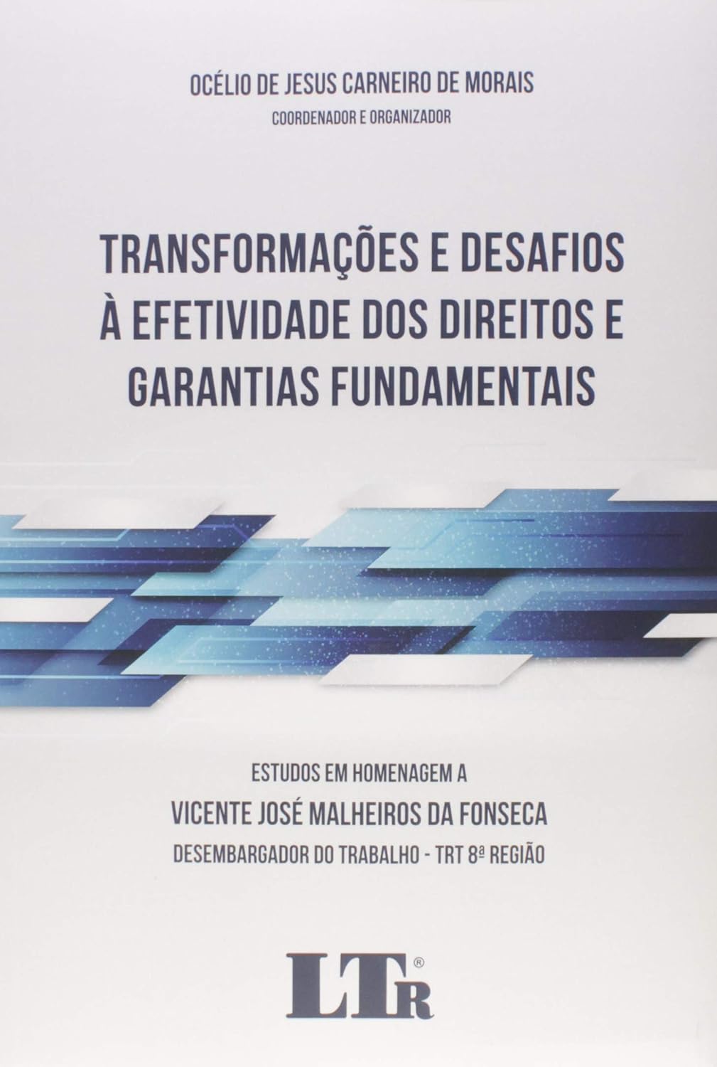 Transformações E Desafios À Efetividade Dos Direitos E Garantias Fundamentais baixar o livro de graça