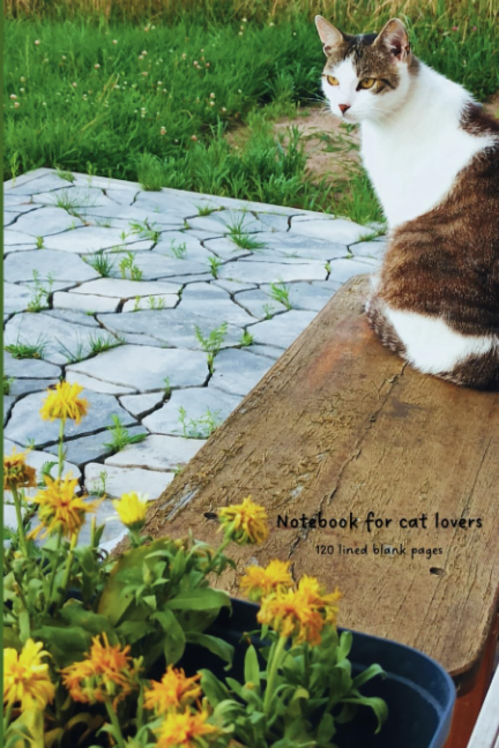 Notebook for cat lovers, 120 lined blank pages: Cat's Garden: 120 Blank Pages of Natural Inspiration baixar livro de graça