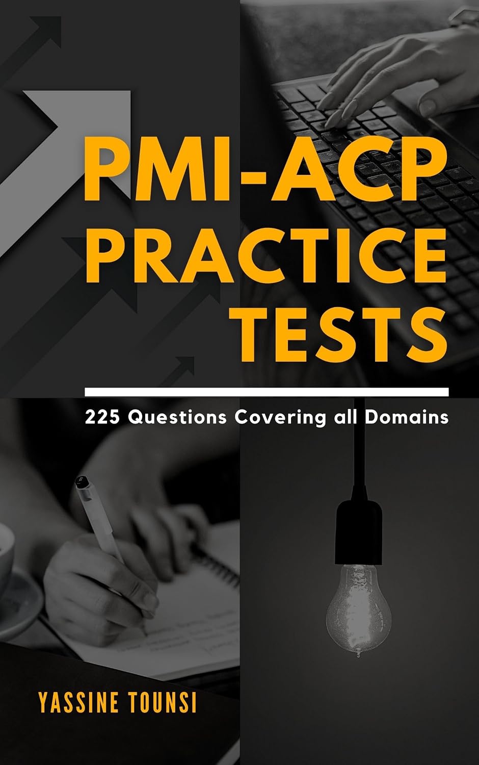 PMI-ACP Practice Tests: Mock Questions Fully Aligned with the Agile Certified Practitioner Exam Domains (English Edition) baixar livro de graça